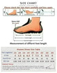New in 2025 Pumps Footwear Elegant Women Heeled Shoes Fashion Buckle Strap Female Pointed Toe Slingbacks Ladies High Heels Shoes